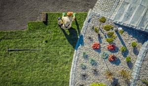 Landscaping (Soft & Hard)